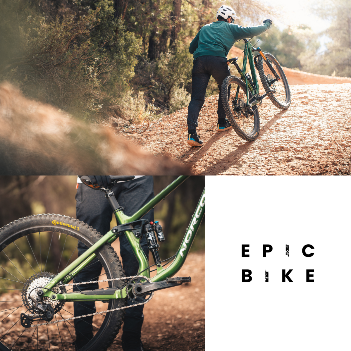 EPIC BIKE SHOP 1.1 3